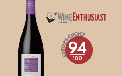 What Is a Wine Rating? Understanding Scores & Château Pesquié’s Latest Awards