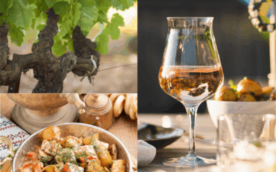 Tapas & vins : l’art de vivre méditerranéen avec Terrasses Rosé