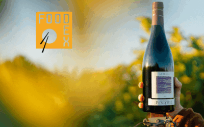 Rendez-vous au Japon