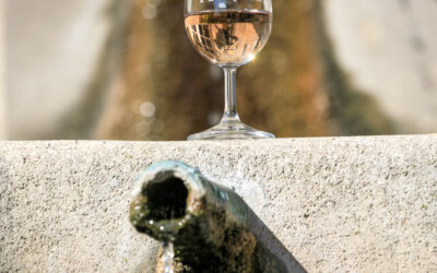 Rosés 2025 : les vins à tester absolument cette saison